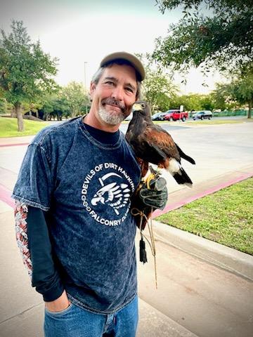 Falconer with Harris Hawk