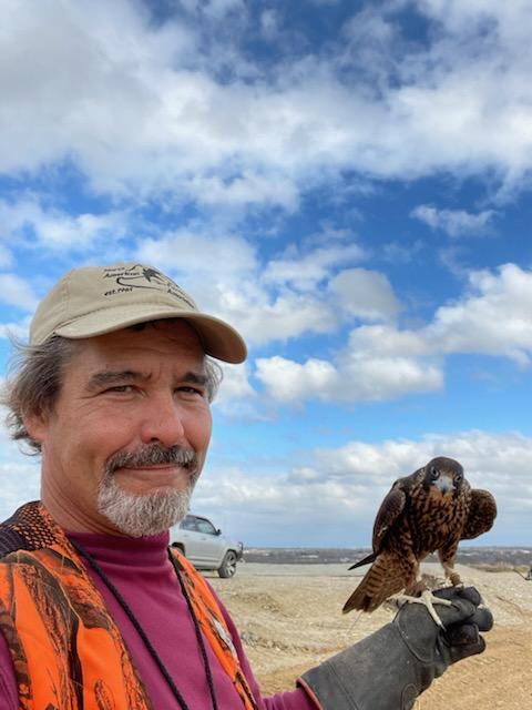 Falconer with peregrine on glove